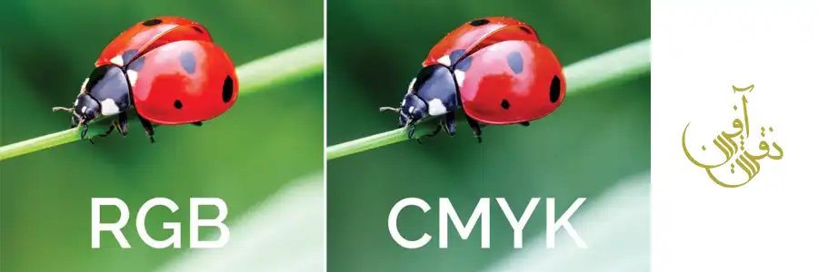 رنگ CMYK چیست